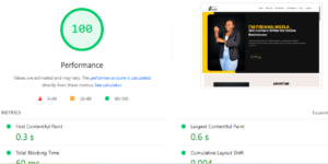 WordPress-site-performance-score-100